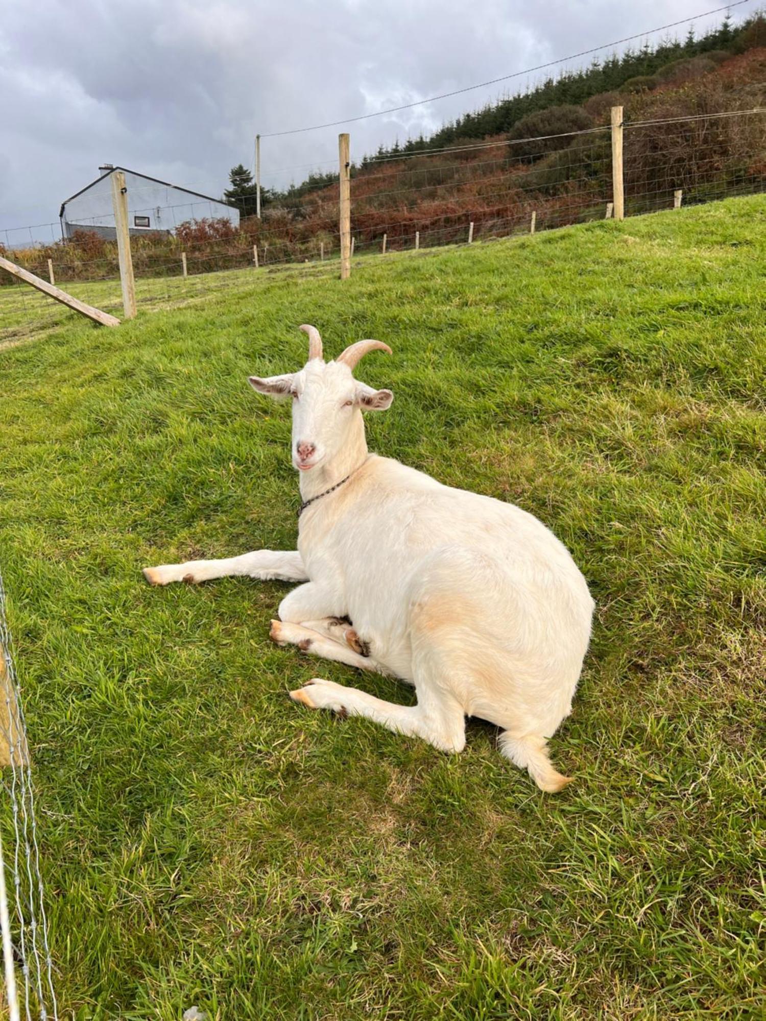 Valentia View Bed & Breakfast Portmagee Bagian luar foto